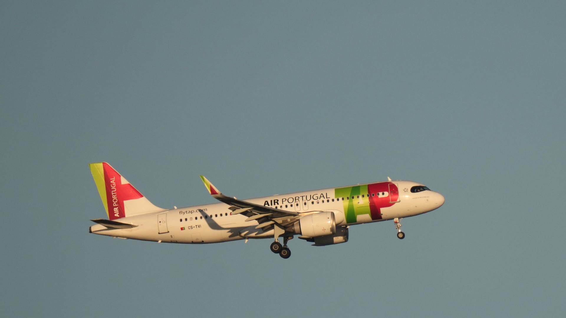 flugzeug tap 100