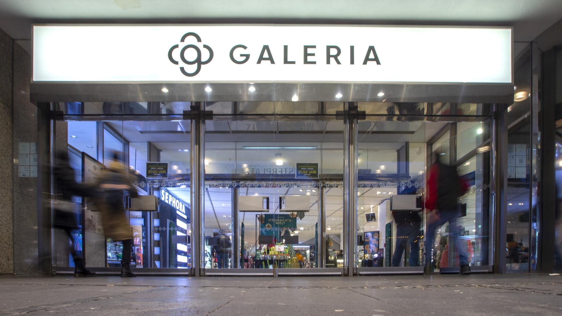 galeria 236