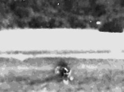 image 409