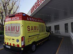 imago0856040610h