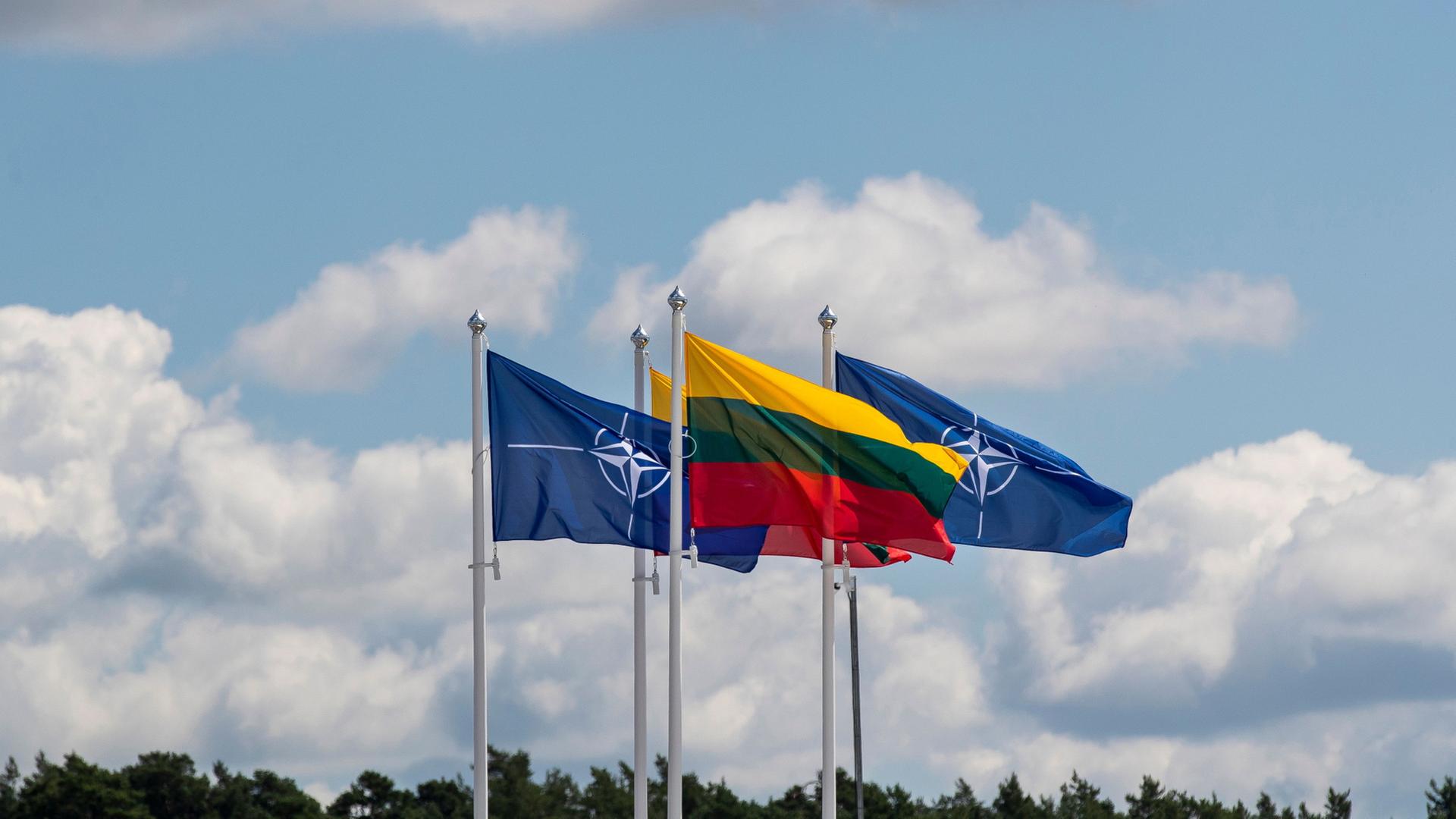 litauen nato flagge 100