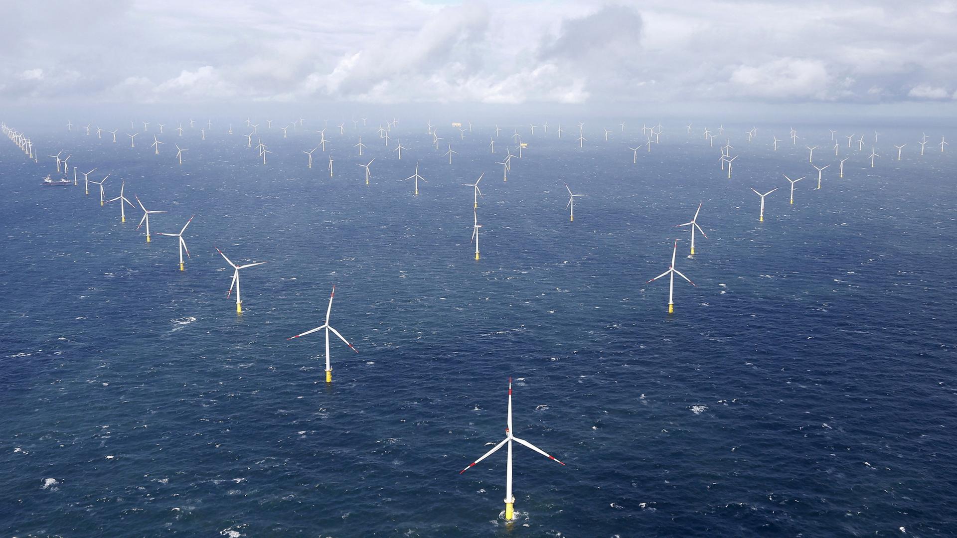 offshore windpark 126