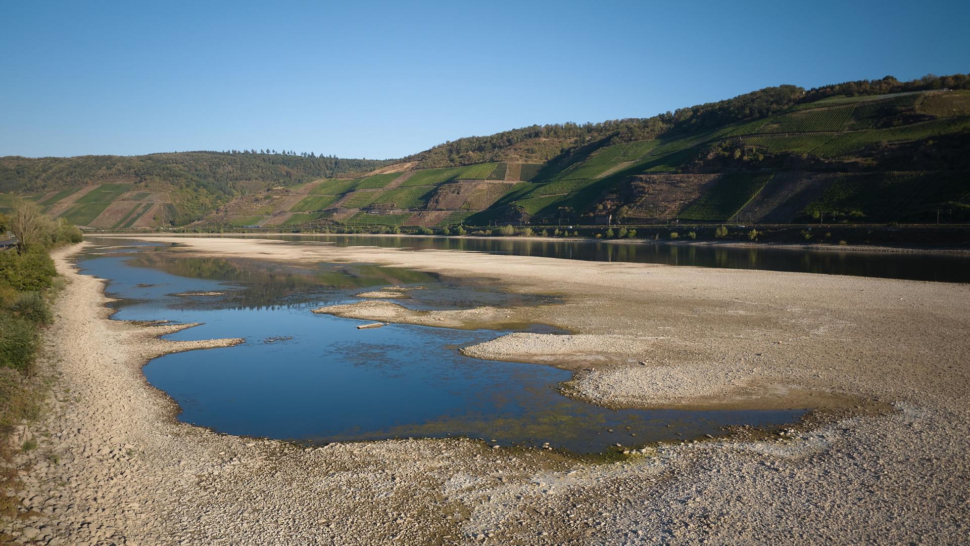 sandbaenke rhein 100