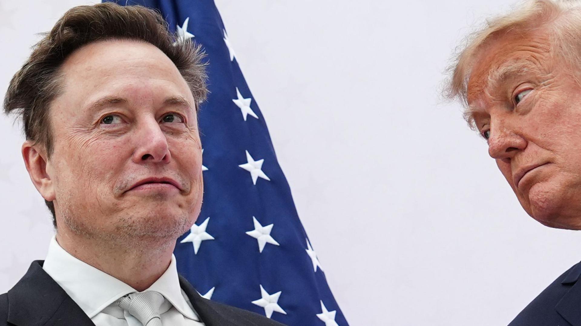 trump musk 126