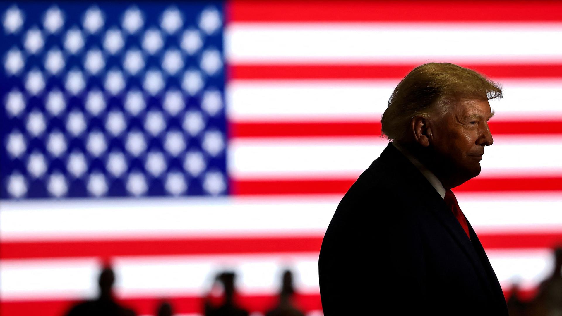 trump usflagge 100