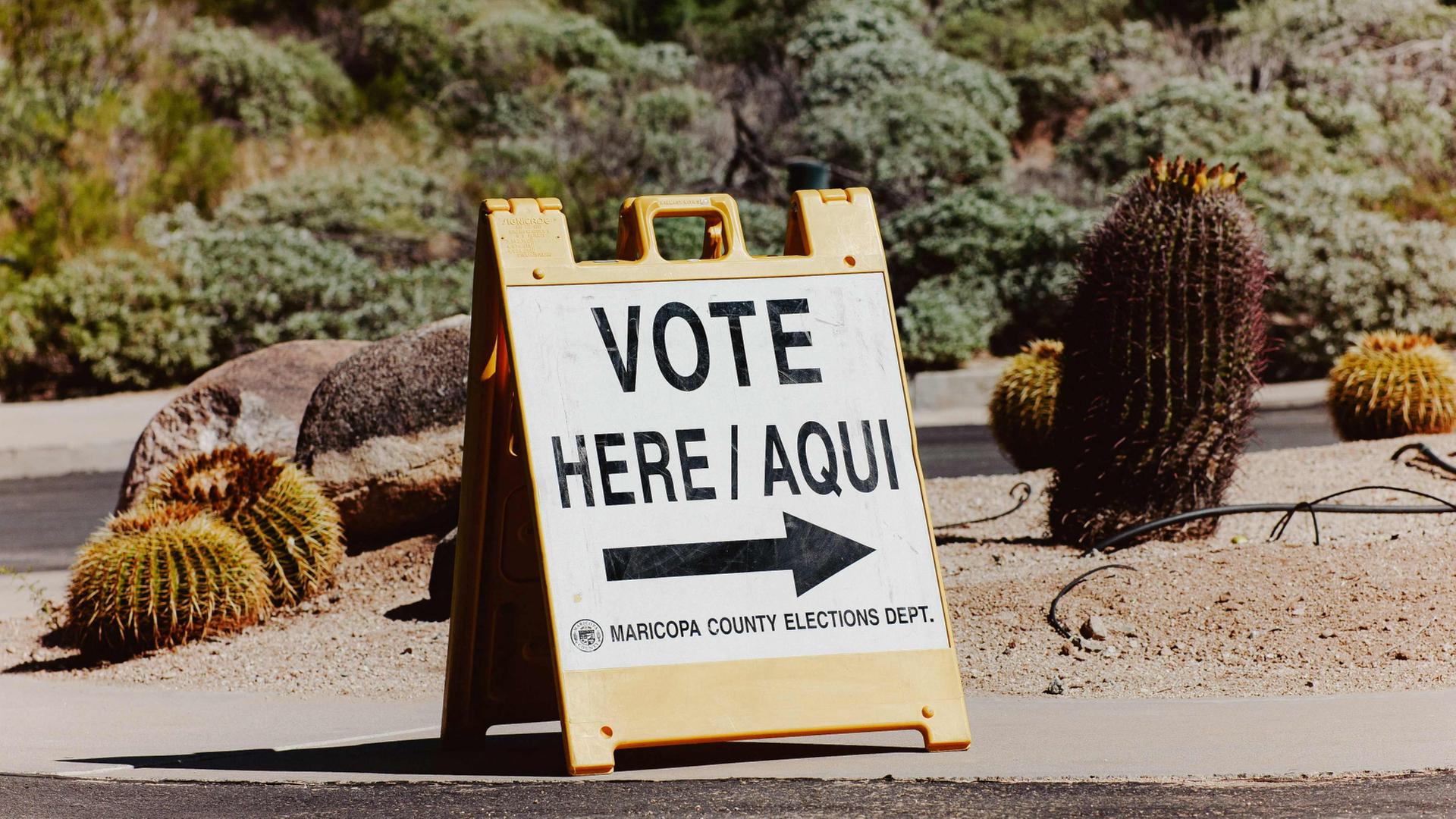 wahlschild arizona 100